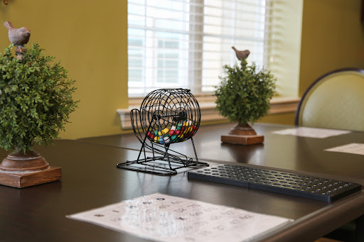 A cozy bingo setup with a bingo cage and colorful balls, surrounded by decorative plants.