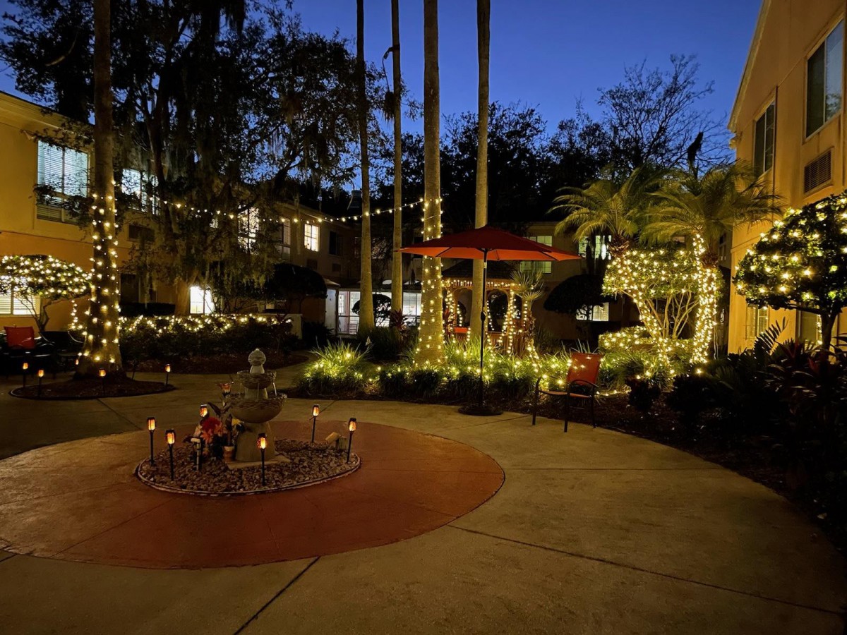 A beautifully lit garden at night, featuring palm trees and festive decorations.