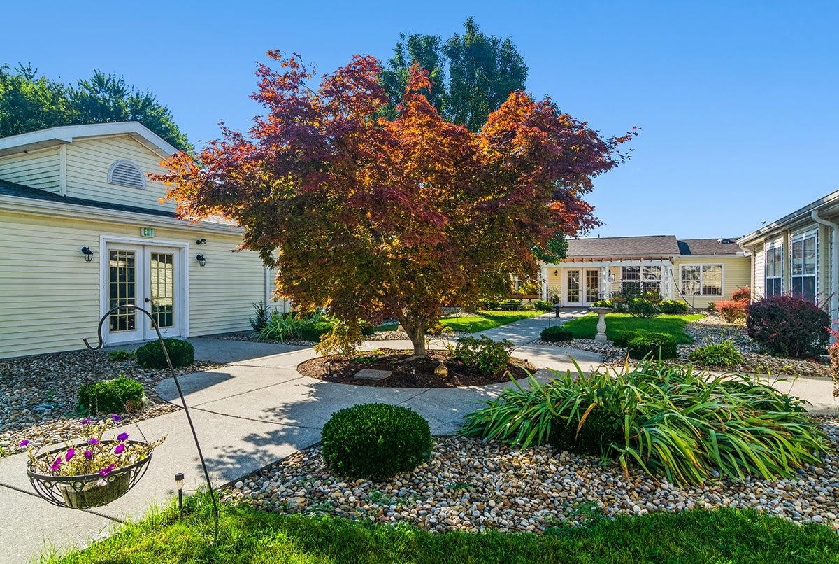 A beautifully landscaped yard featuring a central tree with red leaves, surrounded by shrubs and a well-maintained garden in front of a house.
