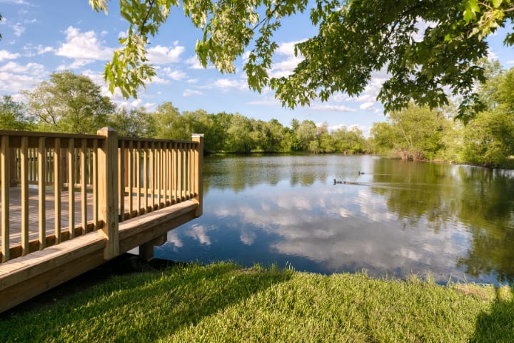 A peaceful lakeside view with a wooden deck, surrounded by lush greenery and a clear blue sky reflected in the water.