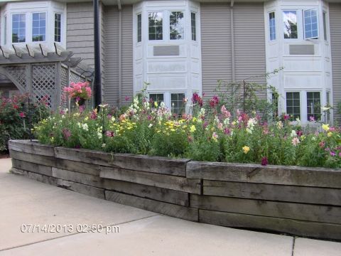 A vibrant garden with a raised wooden flower bed full of blooming flowers situated in a residential backyard.