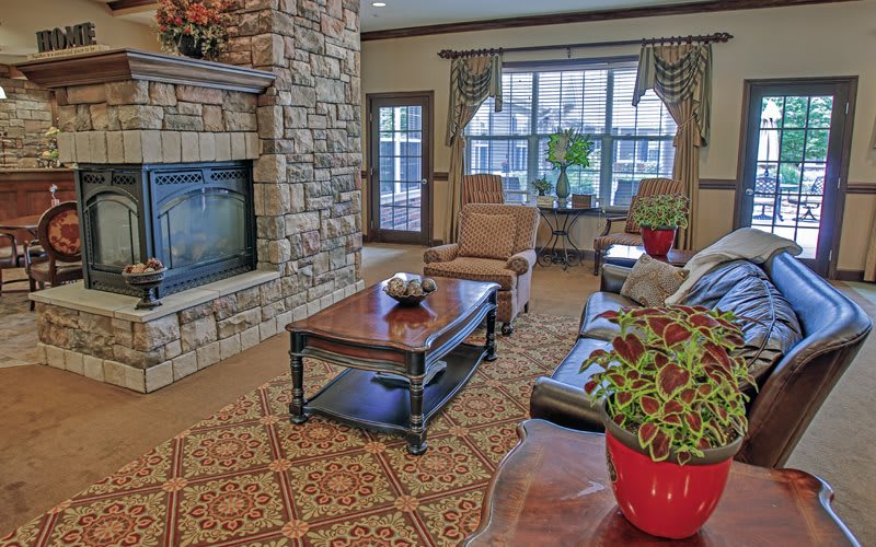 A cozy living room featuring a stone fireplace, a comfortable sofa, and decorative plants.