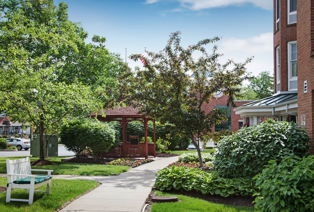 A suburban garden with a winding pathway surrounded by lush greenery and trees.