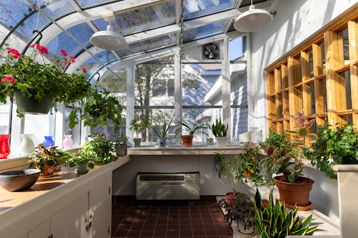 A bright and inviting greenhouse filled with various plants, showcasing the beauty of nature indoors.