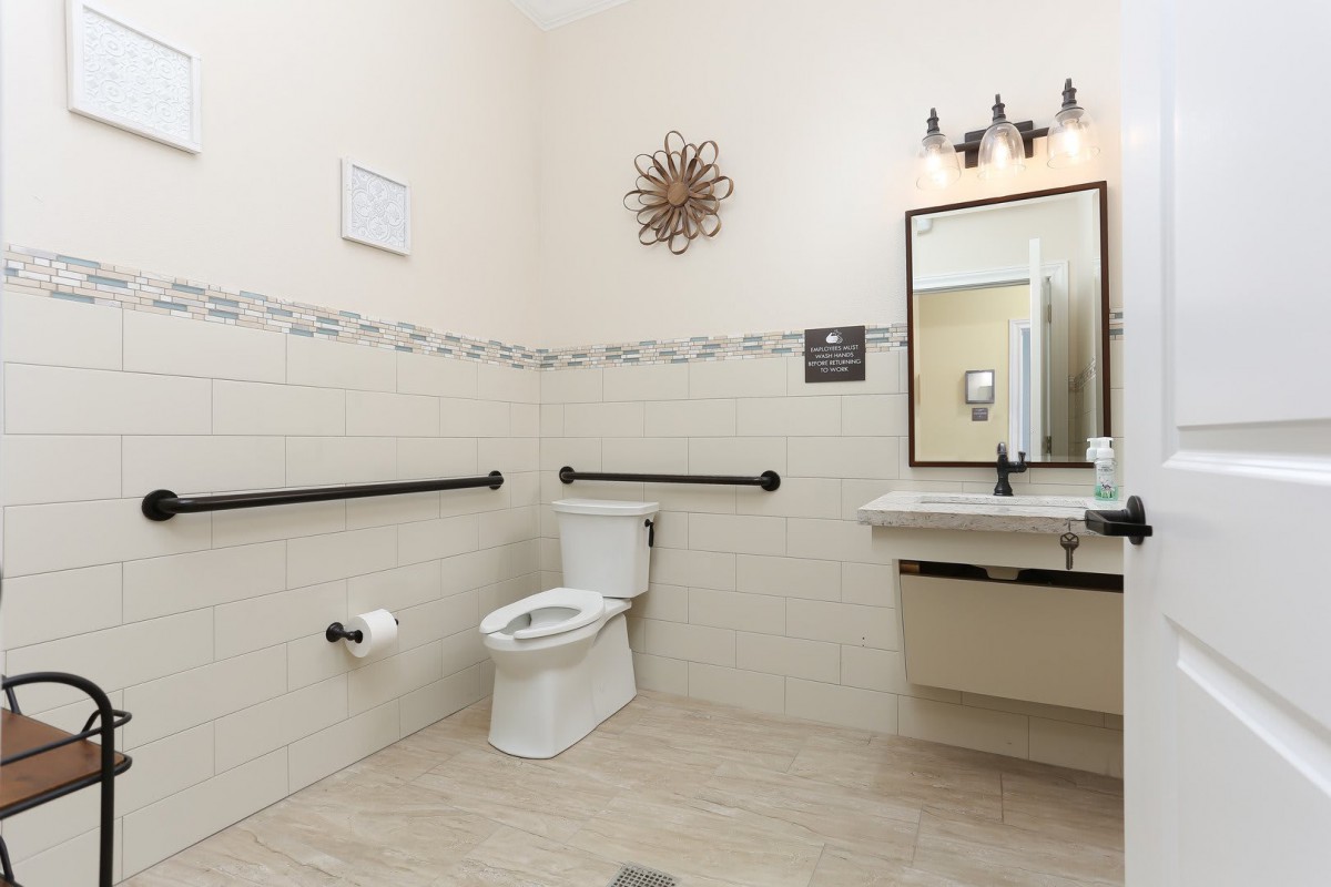 A modern, accessible bathroom equipped with a toilet, sink, mirror, and grab bars.