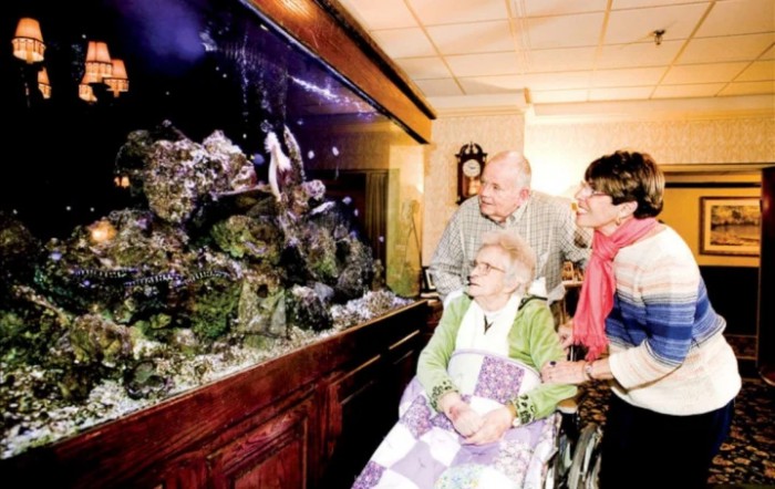 Anchor Care And Rehabilitation Center