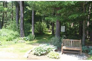 A serene garden path surrounded by lush greenery and a wooden bench.