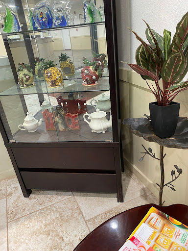 A stylish display cabinet showcasing colorful teapots and decorative items, complemented by a potted plant in the corner.