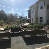 Raised planter boxes in a sunny outdoor area near a building.