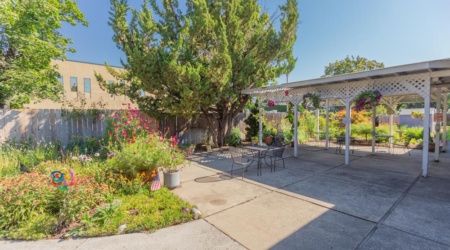 A sunny backyard garden with a patio area and lush greenery.