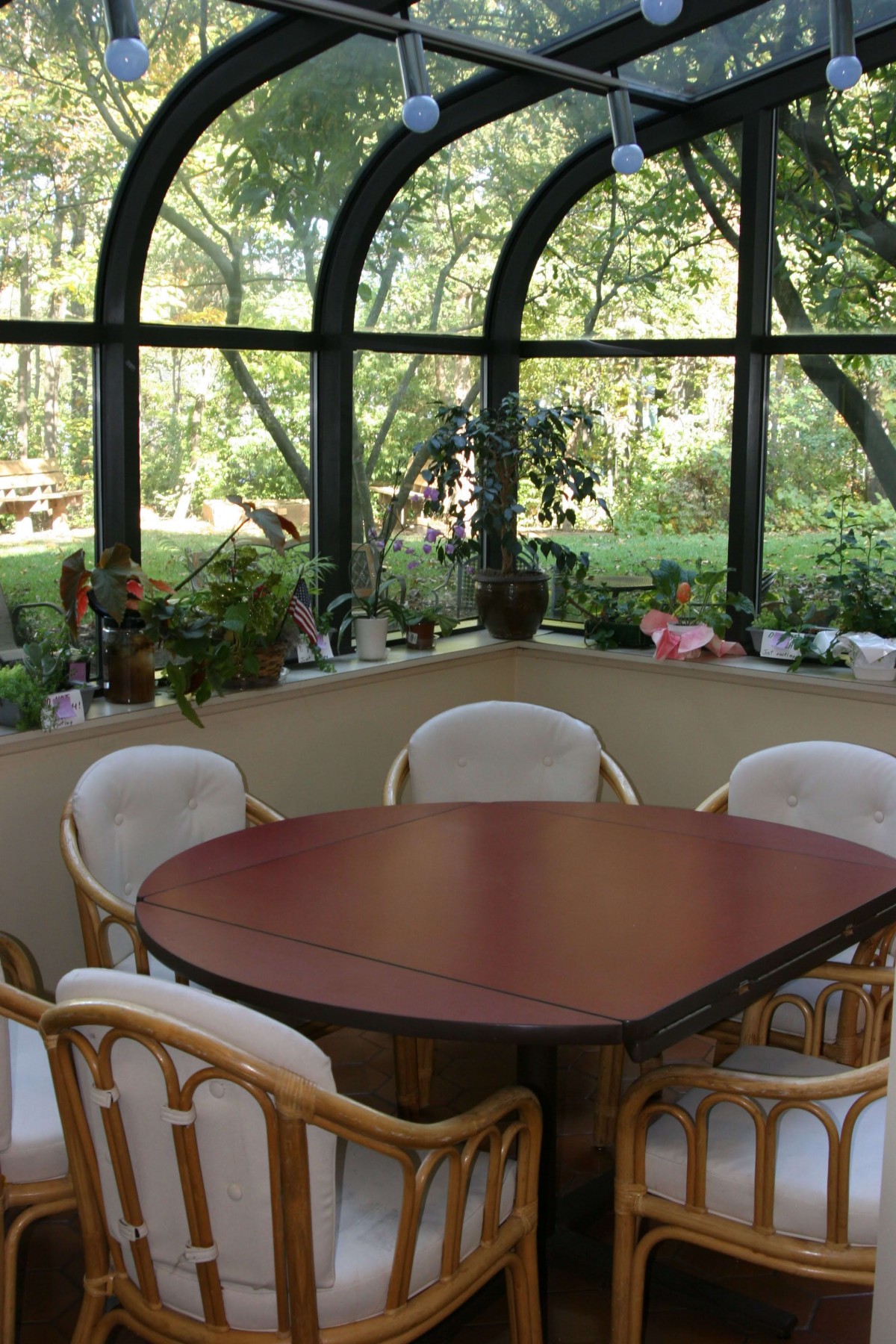 A cozy conservatory with a round table and chairs, surrounded by indoor plants and large glass windows showing a garden view.