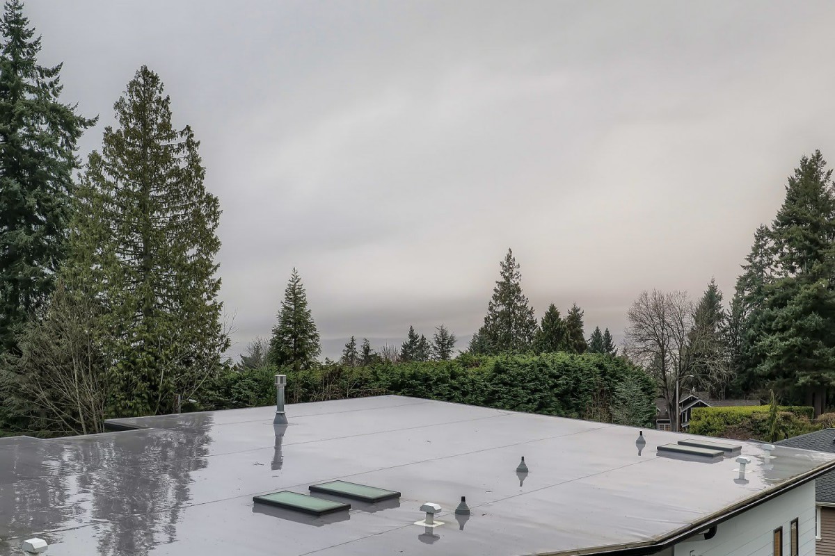 A rooftop view overlooking a lush, tree-filled landscape under an overcast sky.