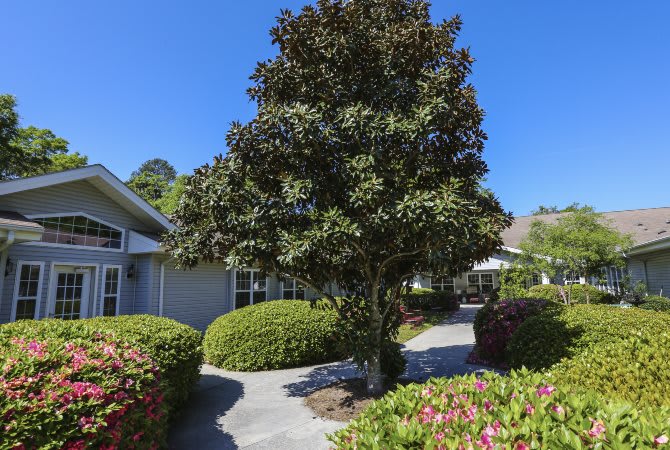 A well-maintained garden with a tree and neatly trimmed shrubs along a pathway on a sunny day.