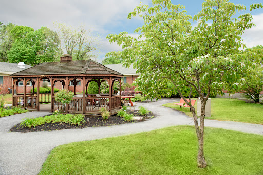 A serene garden featuring a charming gazebo surrounded by lush greenery and a winding pathway.