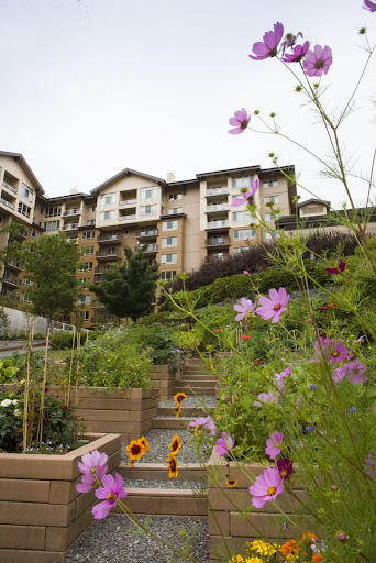 A beautifully landscaped garden with vibrant flowers in the foreground, showcasing a modern residential building in the background.