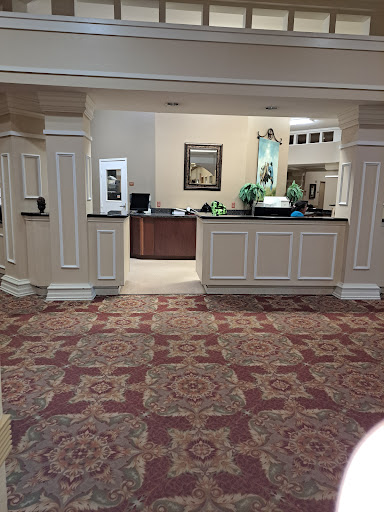 A welcoming hotel lobby showcasing an elegant reception area with decorative elements.