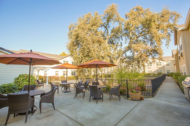 A sunny patio with chairs and tables, shaded by large umbrellas and surrounded by trees.