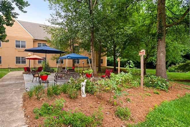A serene garden with patio seating and vibrant umbrellas under the shade of tall trees.