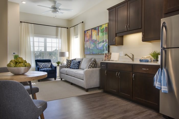 A cozy living space featuring a sofa, armchair, and compact kitchen area with dark cabinetry.