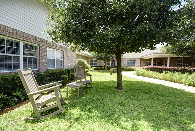 A peaceful courtyard with benches under a tree.