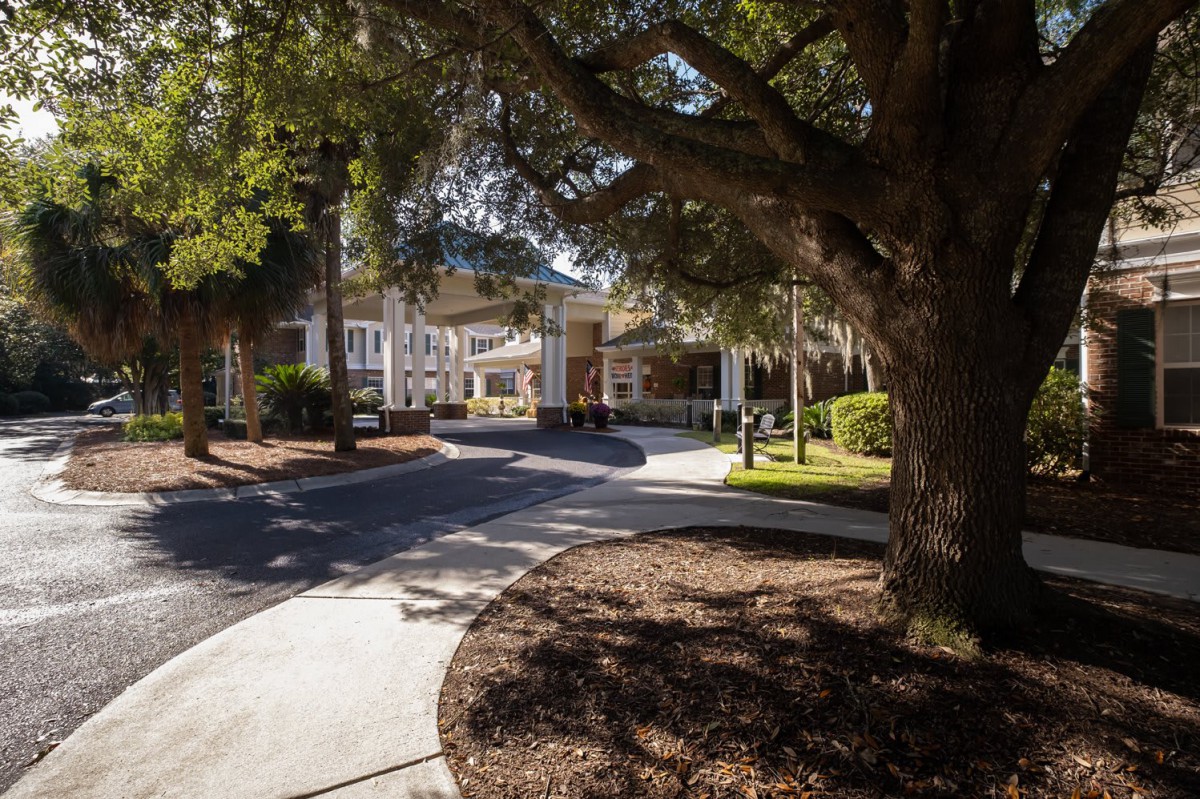 A sunlit driveway leads to the entrance of a building surrounded by trees.
