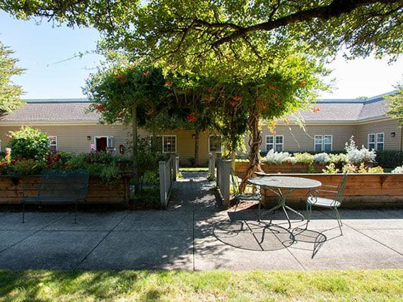 A serene patio area with a table and chairs under the shade of lush trees, surrounded by greenery on a sunny day.