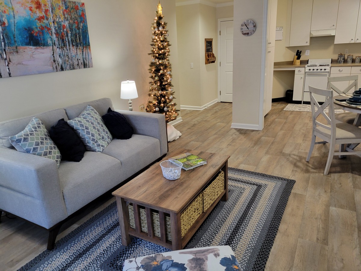 Cozy living room with a Christmas tree and modern decor.