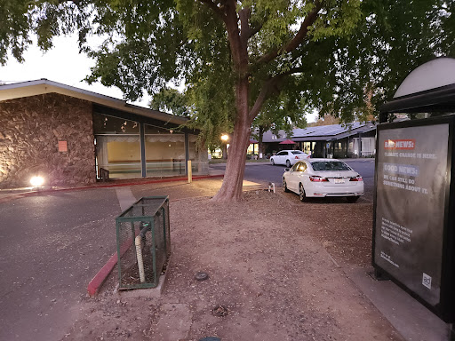 A quiet urban scene in the evening, featuring a tree beside a parking lot with a white car parked nearby.