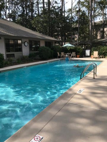 A tranquil outdoor swimming pool surrounded by greenery and lounge chairs on a sunny day.