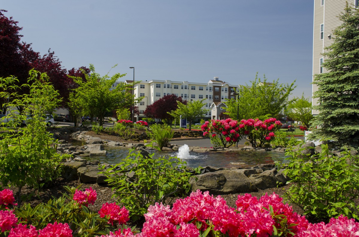 A beautifully landscaped garden with vibrant flowers and a small fountain.