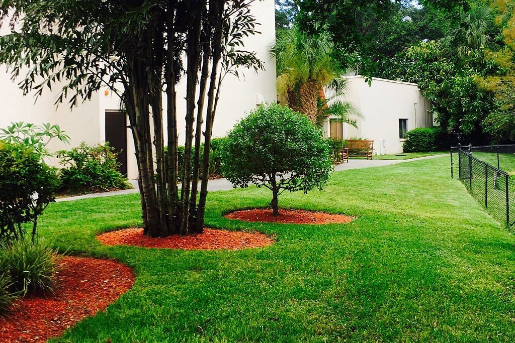 Beautifully maintained garden with lush green lawn, trees surrounded by mulch, and a serene atmosphere.