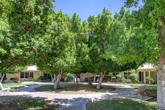 A peaceful outdoor scene with lush green trees and a winding pathway.