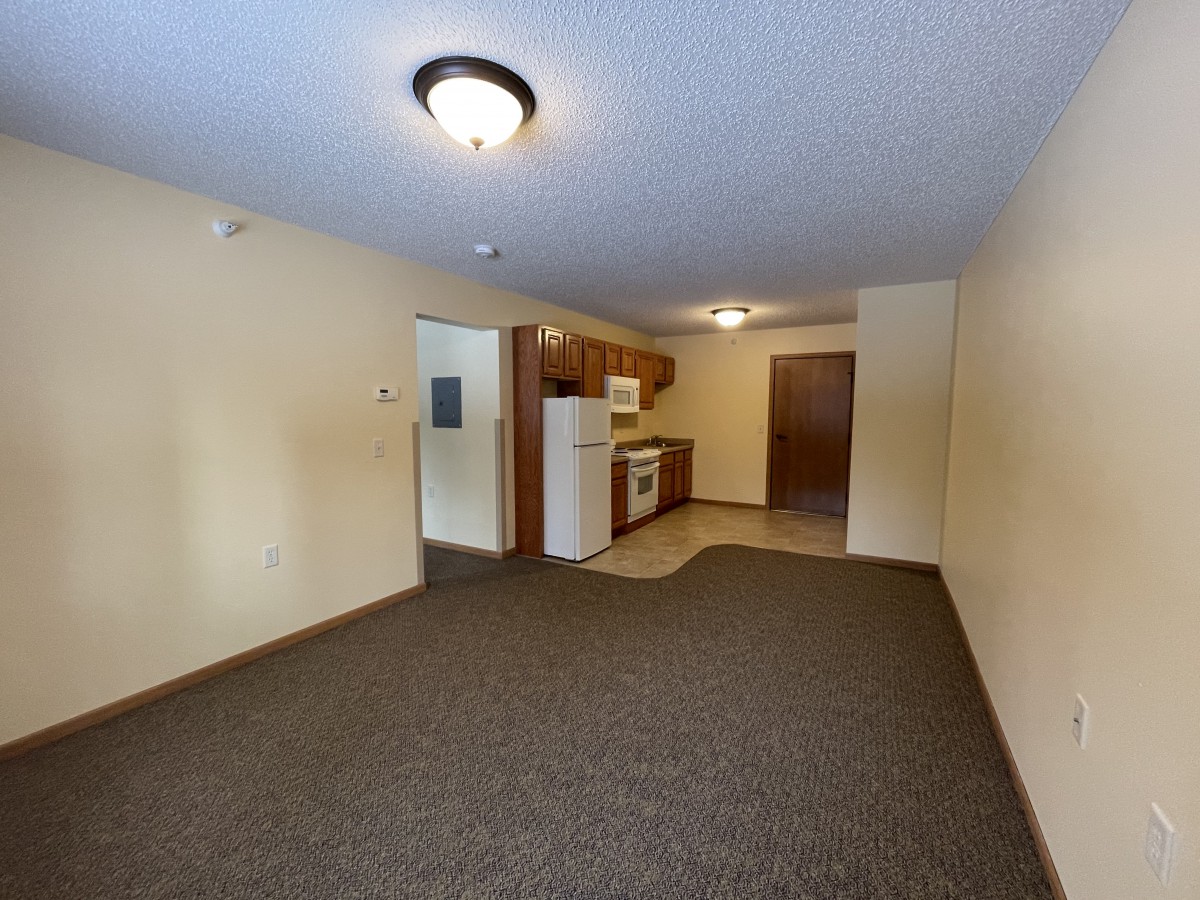 An empty apartment with a view of the living area and kitchen.