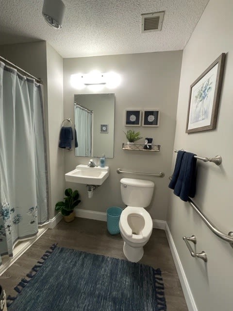 A modern bathroom with a toilet, sink, mirror, and shower curtain, decorated with plants and wall art.