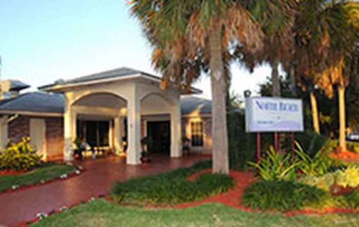 An inviting building entrance with a palm tree and landscaped surroundings.