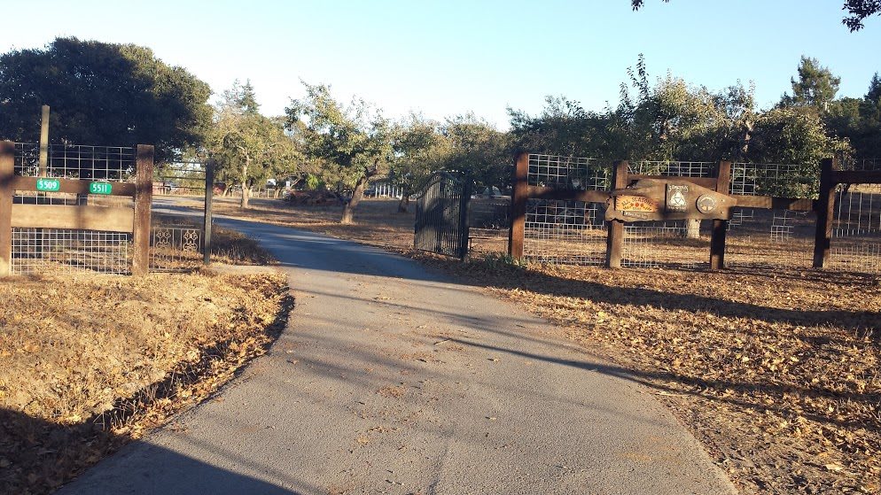 A quiet driveway leading to a gated area, surrounded by trees and bathed in warm sunlight.