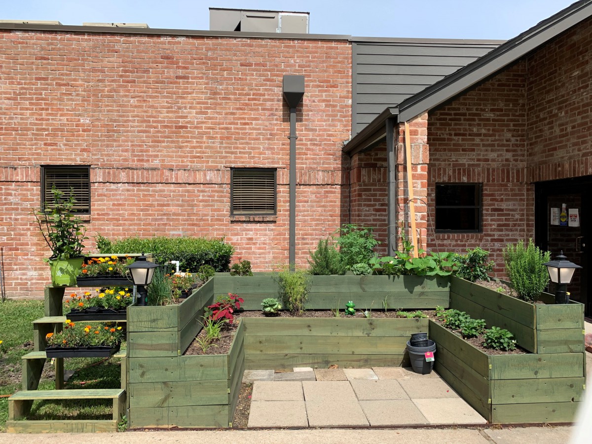 A small urban garden with raised beds filled with various plants against a brick building backdrop.