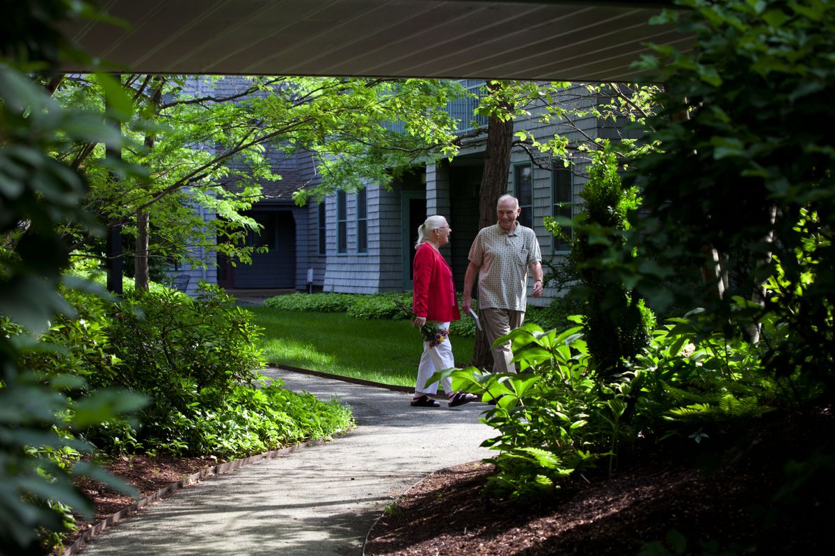 A couple taking a walk through a lush garden path surrounded by trees.