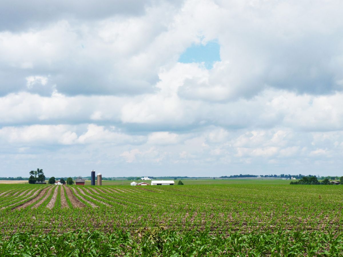 A scenic view of farmland under a cloudy sky, with fields stretching into the distance.