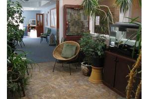 A cozy waiting area featuring a wicker chair, potted plants, and soft lighting.