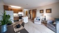 An open-concept apartment featuring a cozy living room and kitchen.