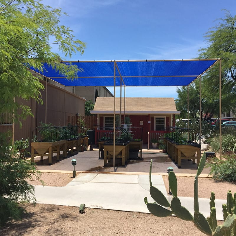 A shaded outdoor seating area surrounded by desert plants and cacti.