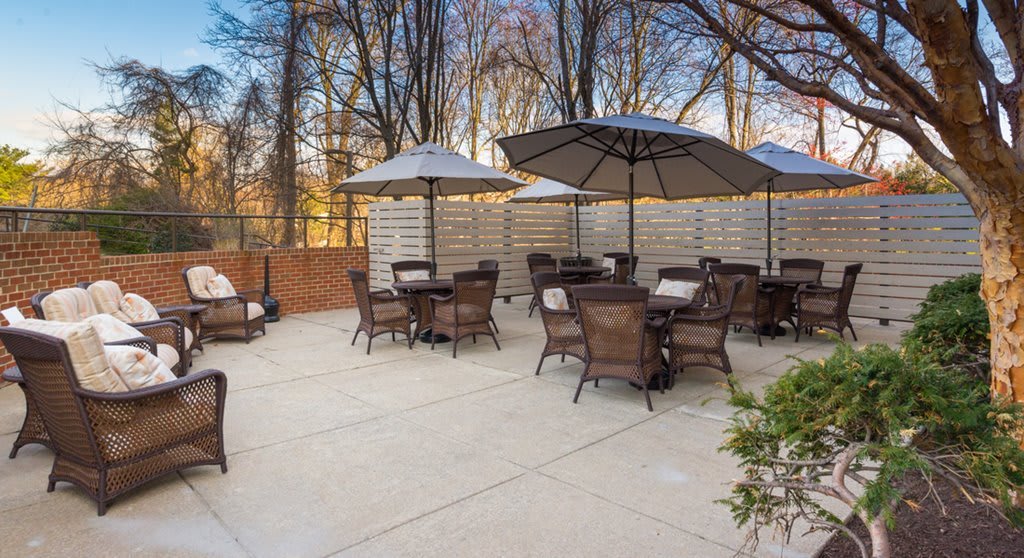An outdoor patio area with tables, chairs, and umbrellas surrounded by trees.