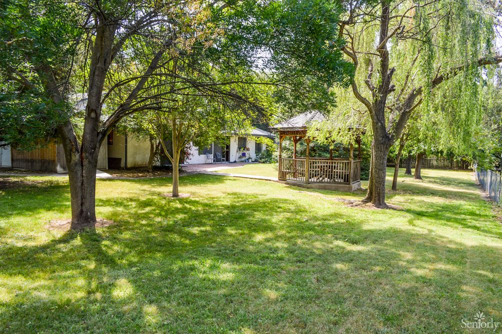 A peaceful backyard with lush trees and a gazebo.