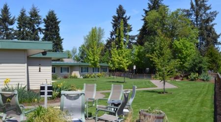 A sunny outdoor setting featuring a garden with lawn chairs surrounded by lush greenery and trees.