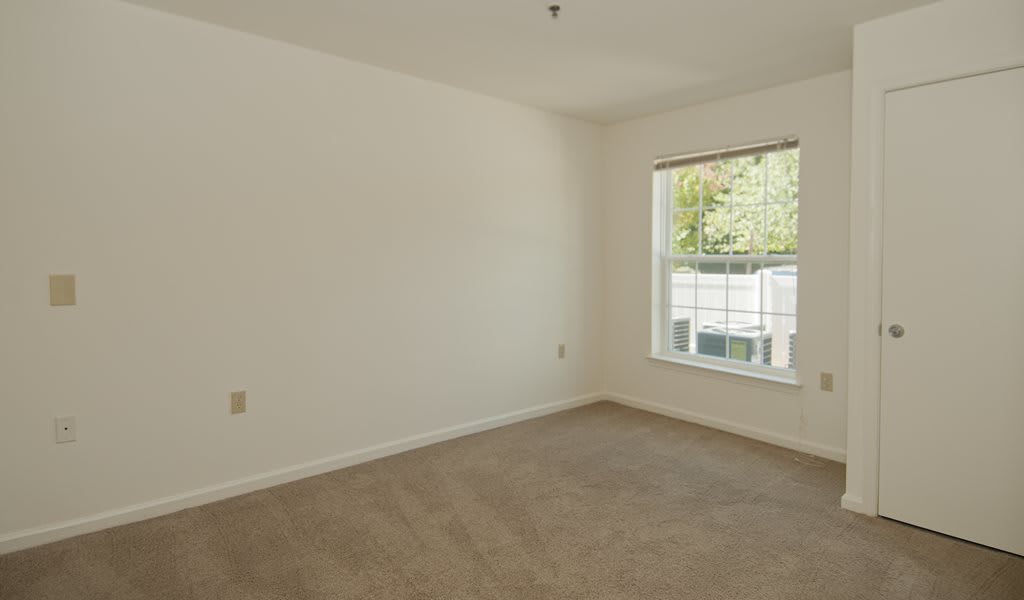An empty room with white walls and a carpeted floor, featuring a large window that allows natural light to enter.