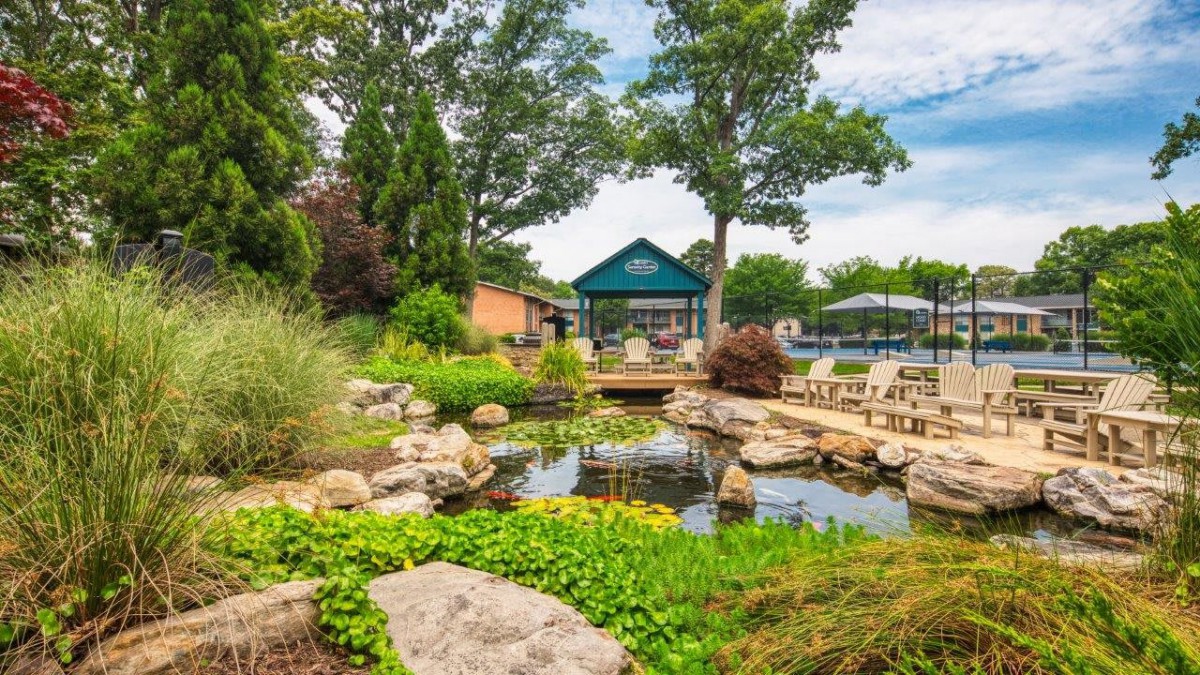 A tranquil garden scene with a pond surrounded by lush greenery and rocks, set under a clear sky.