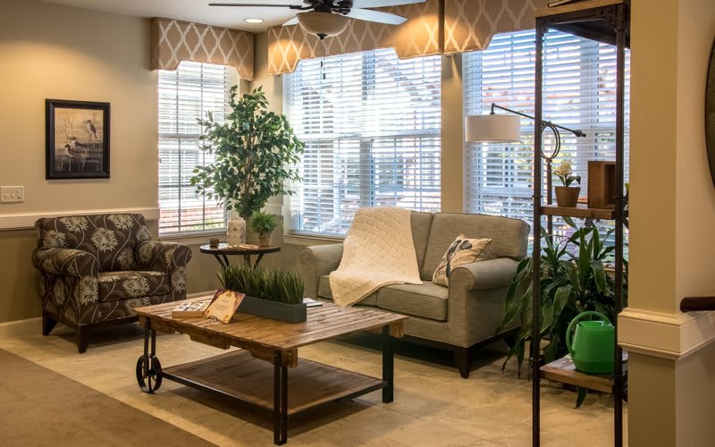 A cozy living room filled with natural light, featuring a comfortable sofa and stylish decor.