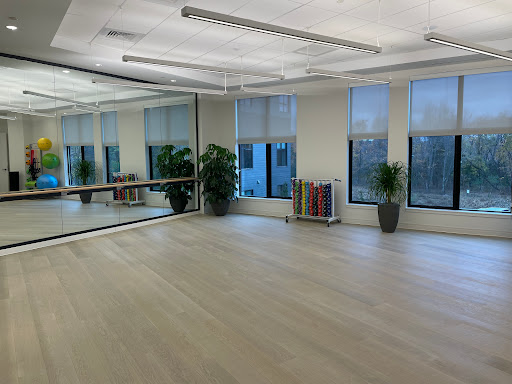 A spacious and well-lit dance studio featuring large windows, a mirrored wall, and elegant wooden flooring.