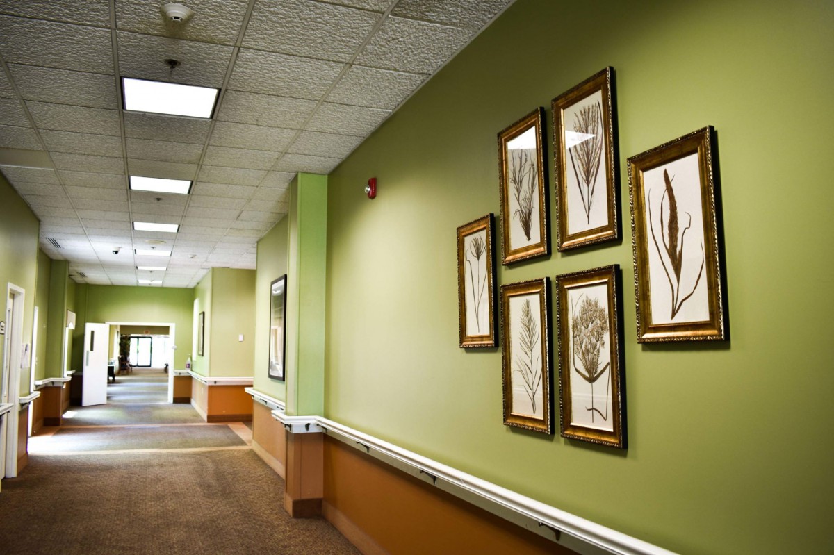 A well-lit hallway with framed botanical artwork and a carpeted floor.